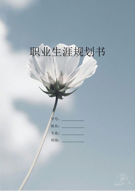 【17页】视觉传达设计专业职业生涯规划书职业生涯规划word模板