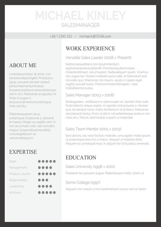 英文简历39英文简历word模板